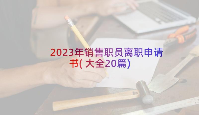 2023年销售职员离职申请书(大全20篇)