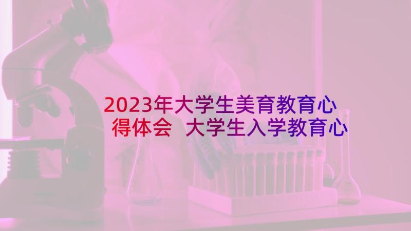 2023年大学生美育教育心得体会 大学生入学教育心得体会(优秀14篇)