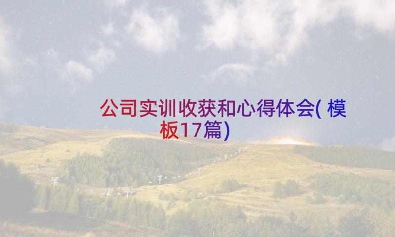 公司实训收获和心得体会(模板17篇)