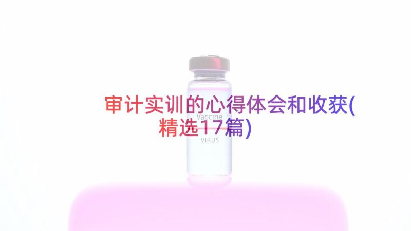 审计实训的心得体会和收获(精选17篇)