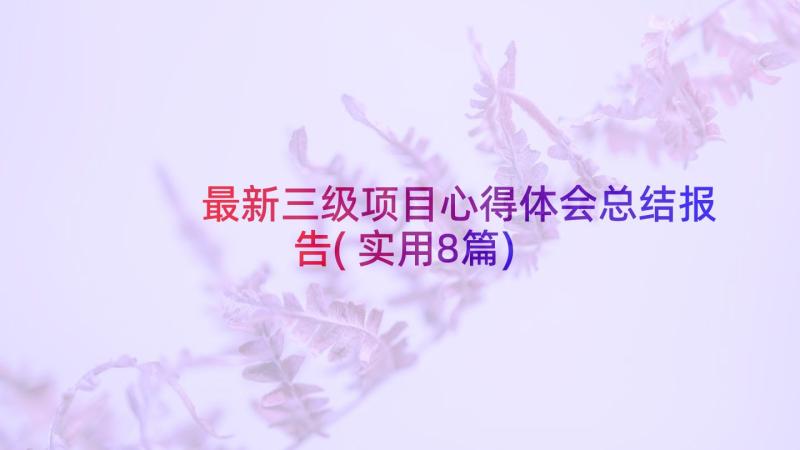 最新三级项目心得体会总结报告(实用8篇)