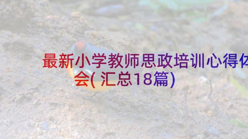 最新小学教师思政培训心得体会(汇总18篇)