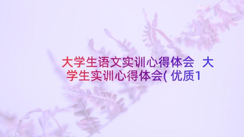 大学生语文实训心得体会 大学生实训心得体会(优质11篇)