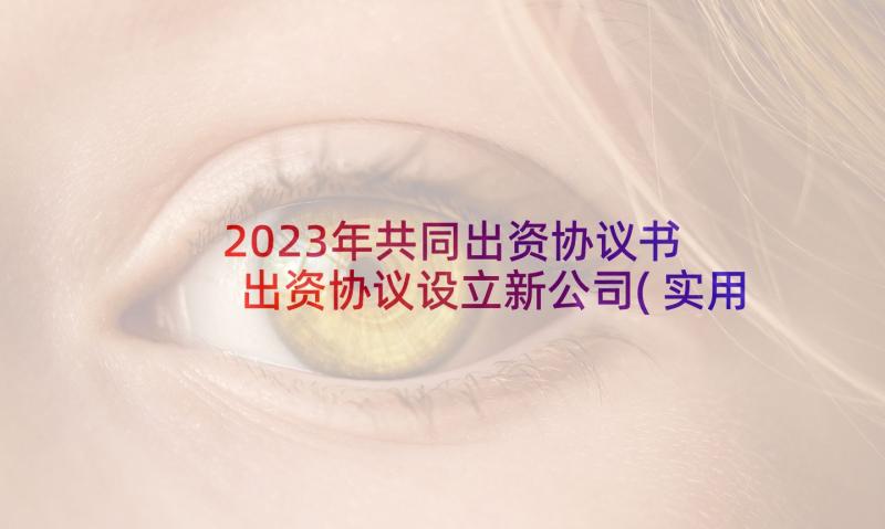 2023年共同出资协议书 出资协议设立新公司(实用7篇)