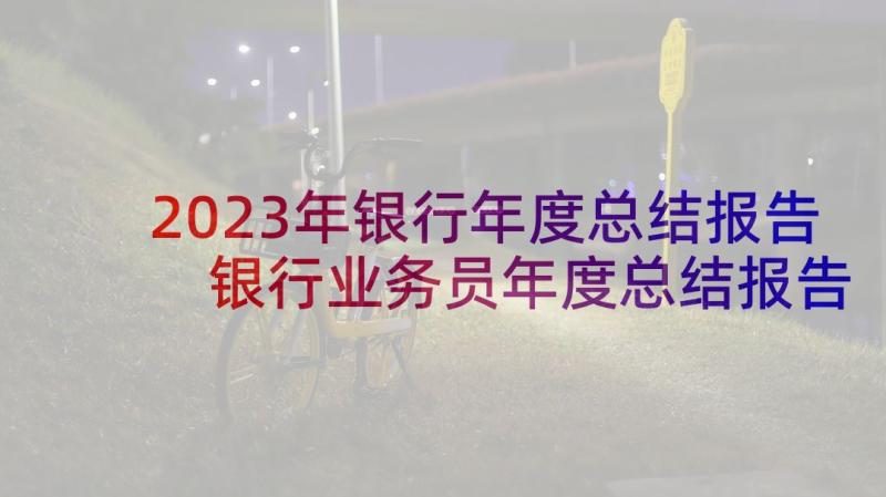 2023年银行年度总结报告 银行业务员年度总结报告(汇总8篇)