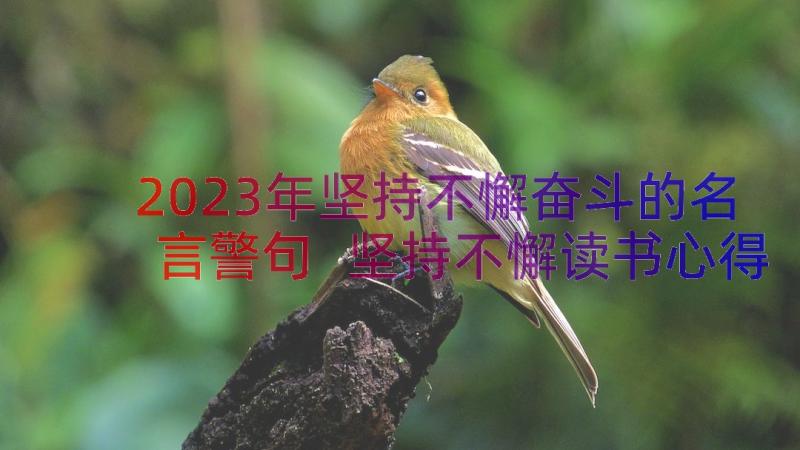 2023年坚持不懈奋斗的名言警句 坚持不懈读书心得体会(精选18篇)