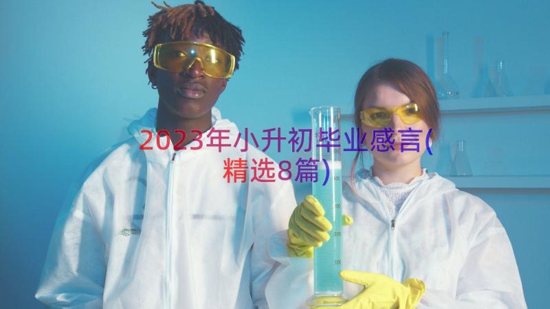 2023年小升初毕业感言(精选8篇)