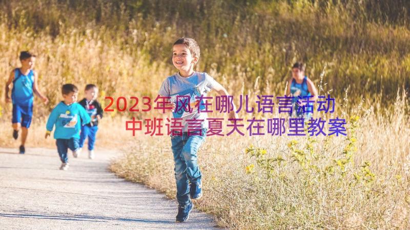 2023年风在哪儿语言活动 中班语言夏天在哪里教案(汇总12篇)