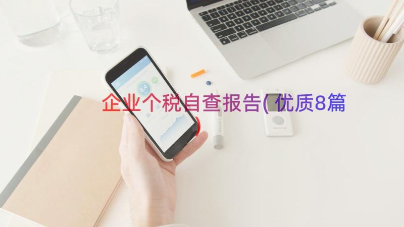 企业个税自查报告(优质8篇)