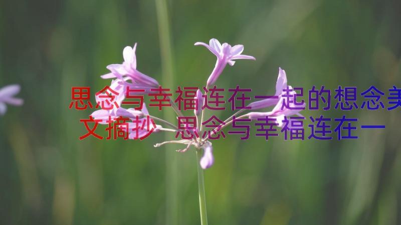 思念与幸福连在一起的想念美文摘抄 思念与幸福连在一起的想念美文(实用8篇)