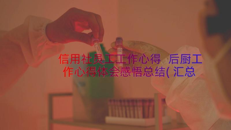 信用社员工工作心得 后厨工作心得体会感悟总结(汇总8篇)