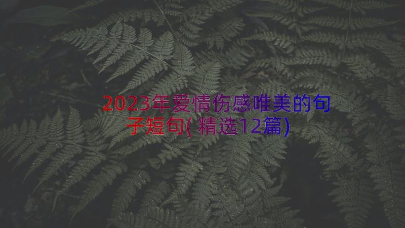 2023年爱情伤感唯美的句子短句(精选12篇)