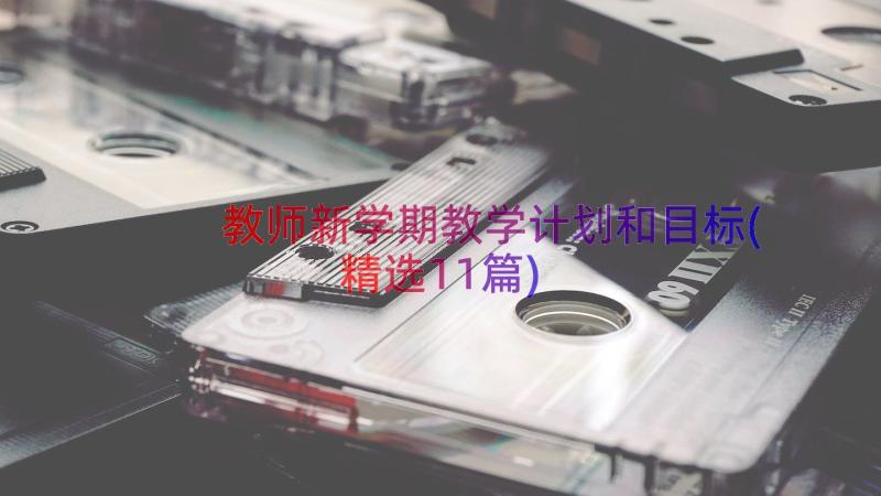 教师新学期教学计划和目标(精选11篇)