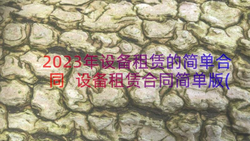 2023年设备租赁的简单合同 设备租赁合同简单版(精选12篇)