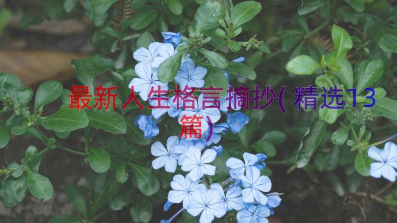 最新人生格言摘抄(精选13篇)