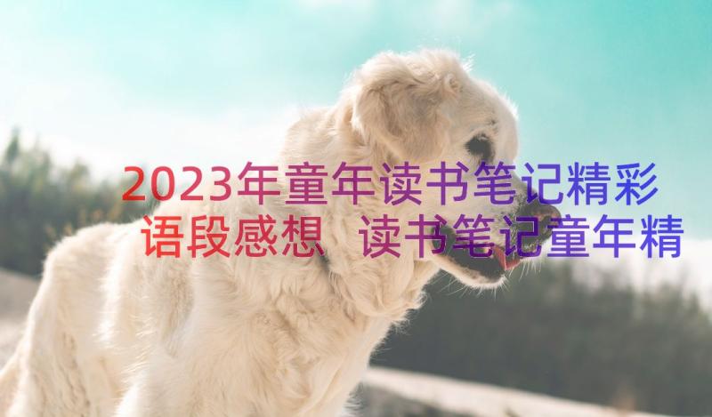 2023年童年读书笔记精彩语段感想 读书笔记童年精彩(大全8篇)