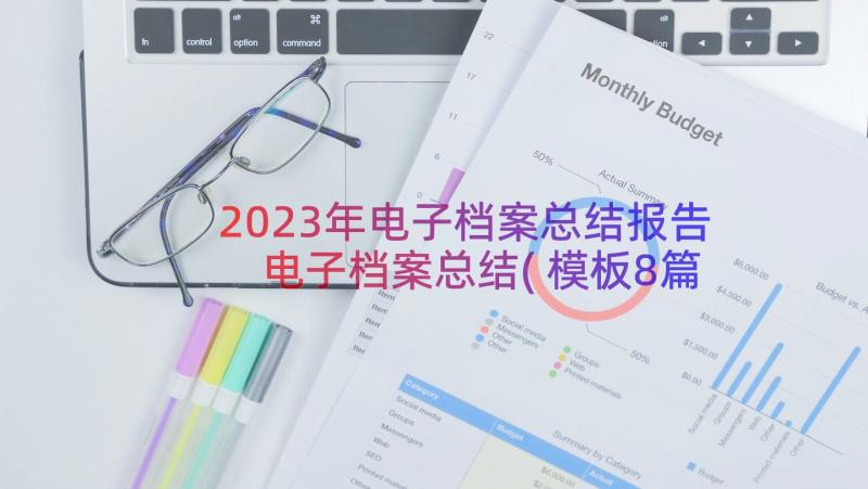 2023年电子档案总结报告 电子档案总结(模板8篇)