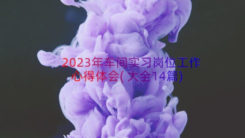 2023年车间实习岗位工作心得体会(大全14篇)