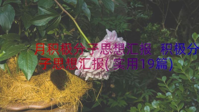 月积极分子思想汇报 积极分子思想汇报(实用19篇)