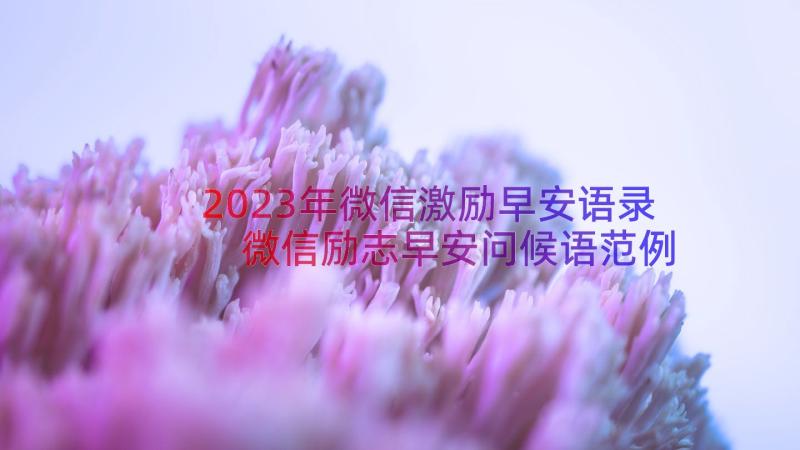 2023年微信激励早安语录 微信励志早安问候语范例(优质17篇)