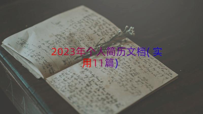 2023年个人简历文档(实用11篇)