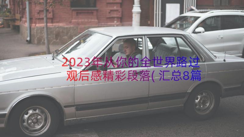 2023年从你的全世界路过观后感精彩段落(汇总8篇)