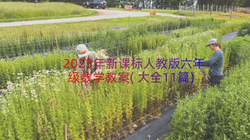 2023年新课标人教版六年级数学教案(大全11篇)