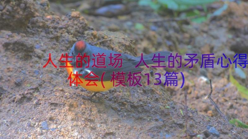 人生的道场 人生的矛盾心得体会(模板13篇)