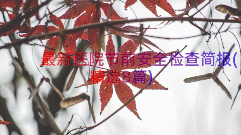 最新医院节前安全检查简报(精选8篇)