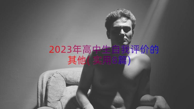 2023年高中生自我评价的其他(实用8篇)