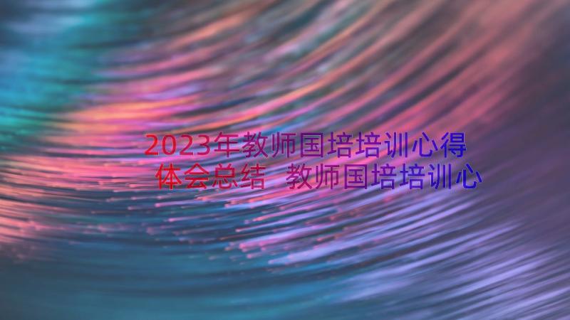 2023年教师国培培训心得体会总结 教师国培培训心得体会(汇总13篇)