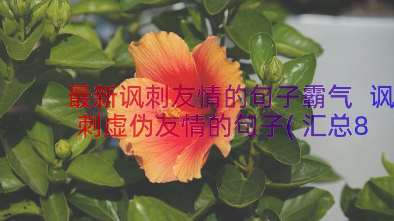 最新讽刺友情的句子霸气 讽刺虚伪友情的句子(汇总8篇)