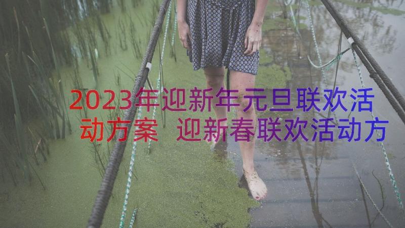 2023年迎新年元旦联欢活动方案 迎新春联欢活动方案(模板17篇)