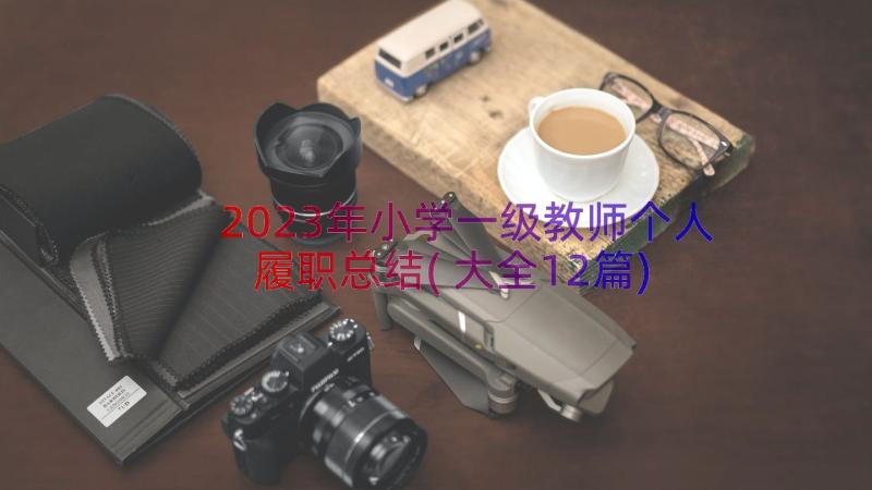 2023年小学一级教师个人履职总结(大全12篇)