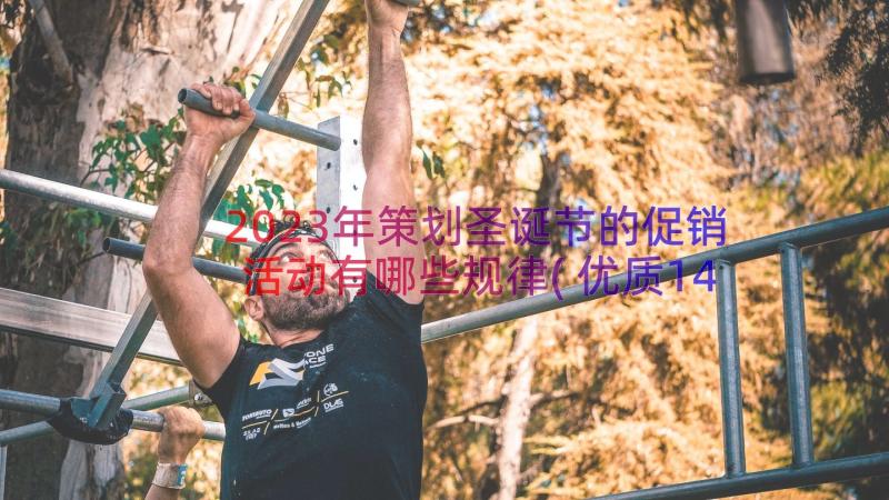 2023年策划圣诞节的促销活动有哪些规律(优质14篇)