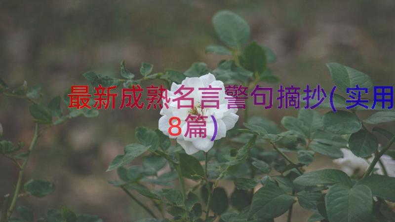 最新成熟名言警句摘抄(实用8篇)