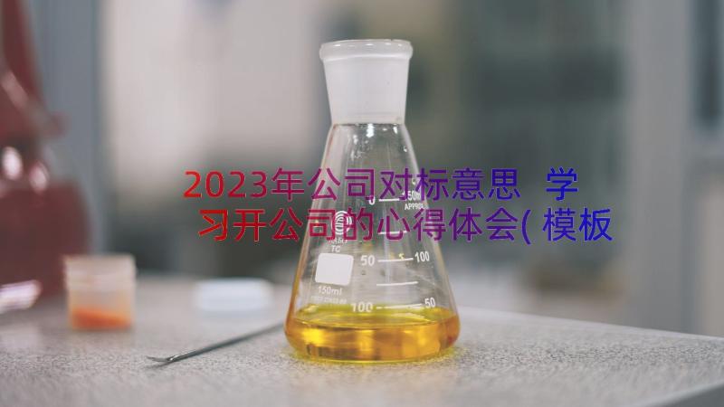 2023年公司对标意思 学习开公司的心得体会(模板11篇)