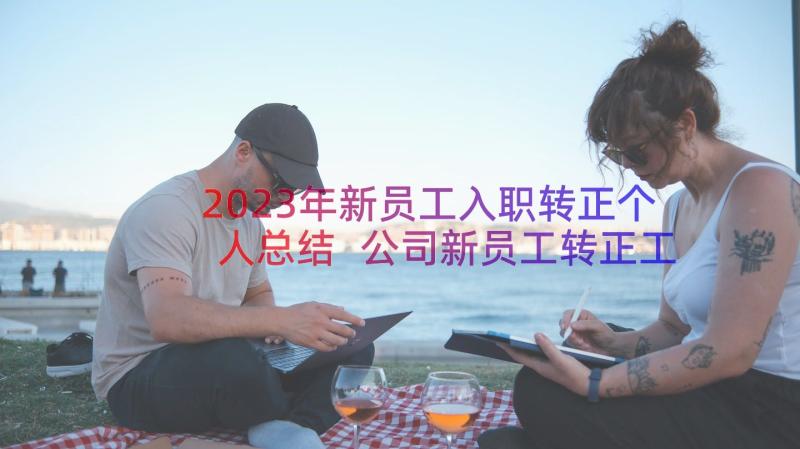 2023年新员工入职转正个人总结 公司新员工转正工作总结(汇总14篇)