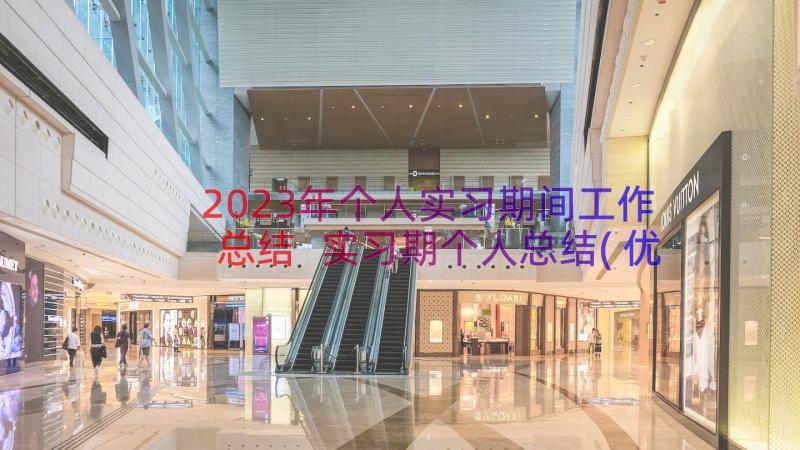 2023年个人实习期间工作总结 实习期个人总结(优秀15篇)