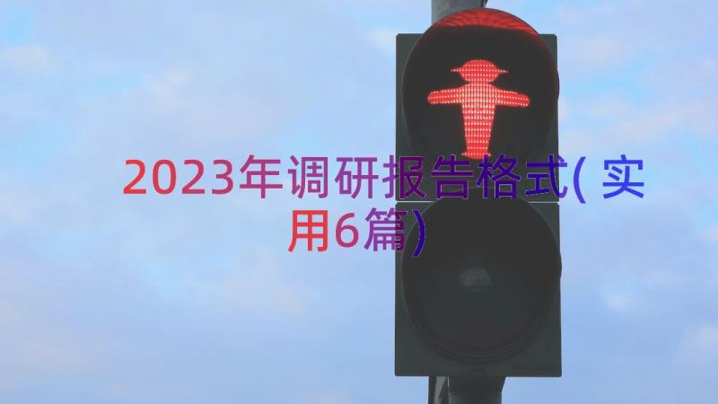 2023年调研报告格式(实用6篇)