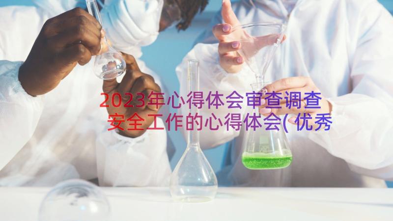 2023年心得体会审查调查安全工作的心得体会(优秀10篇)