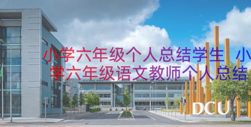 小学六年级个人总结学生 小学六年级语文教师个人总结(实用11篇)