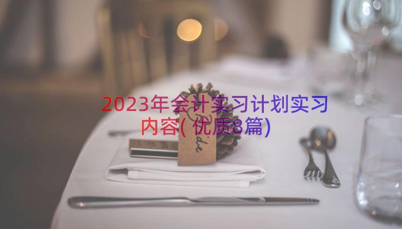 2023年会计实习计划实习内容(优质8篇)