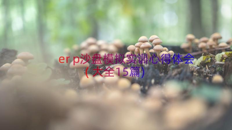 erp沙盘模拟实训心得体会(大全15篇)