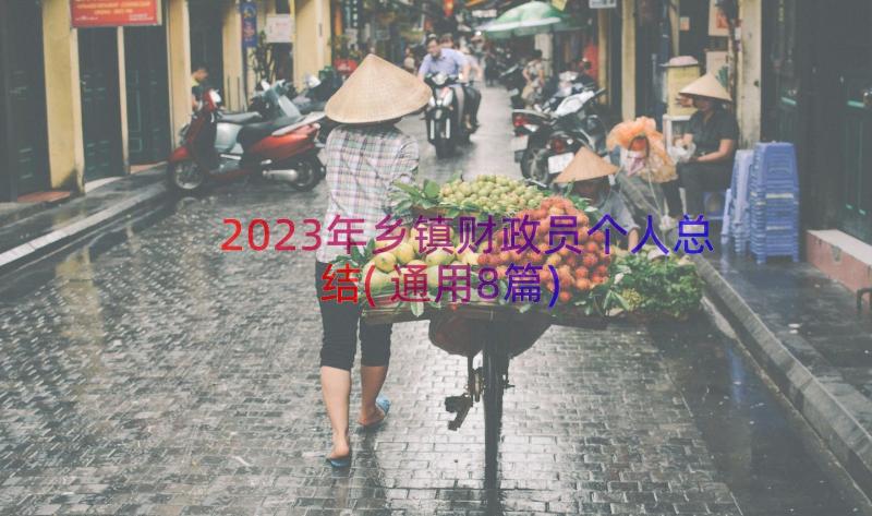 2023年乡镇财政员个人总结(通用8篇)