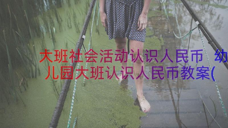 大班社会活动认识人民币 幼儿园大班认识人民币教案(通用8篇)