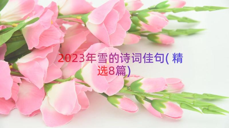 2023年雪的诗词佳句(精选8篇)