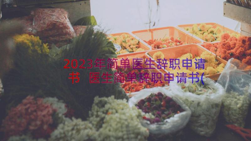 2023年简单医生辞职申请书 医生简单辞职申请书(大全8篇)