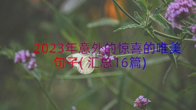 2023年意外的惊喜的唯美句子(汇总16篇)