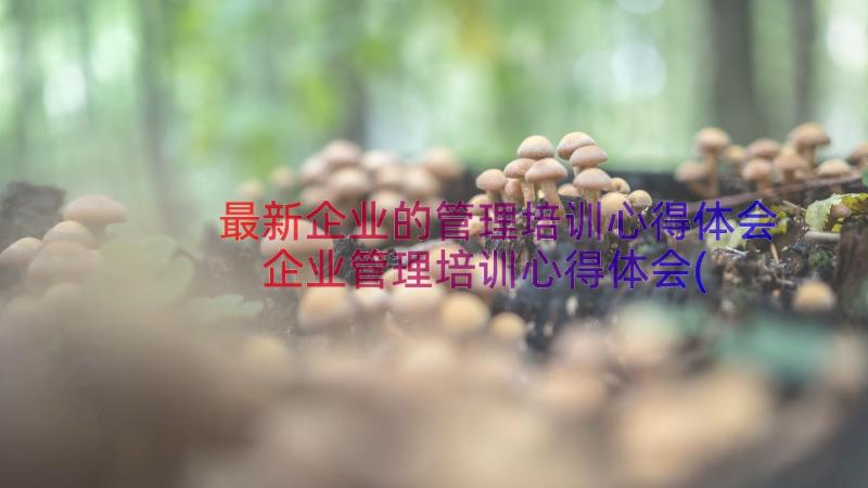 最新企业的管理培训心得体会 企业管理培训心得体会(大全16篇)